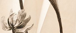 /site/assets/files/1203/alya-dizayn-serra-seramik-optima-dynamic-beyaz_bej_cicek-5.jpg